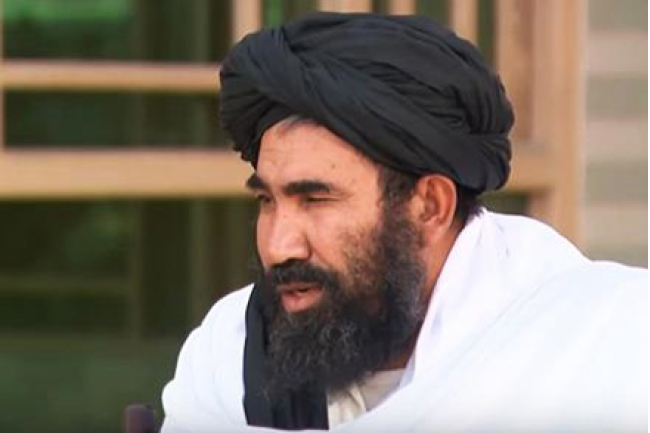 عبدالسلام ضعیف: پاکستان چندین عضو گروه طالبان را بازداشت کرده است 